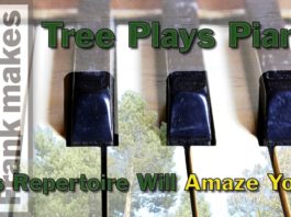 Tree Plays Piano. Its Repertoire Will Amaze You!
