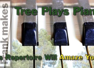 Tree Plays Piano. Its Repertoire Will Amaze You!