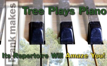 Tree Plays Piano. Its Repertoire Will Amaze You!