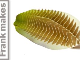 Transforming a Star Fruit