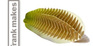 Transforming a Star Fruit