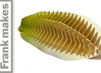 Transforming a Star Fruit