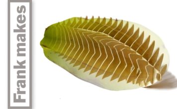 Transforming a Star Fruit