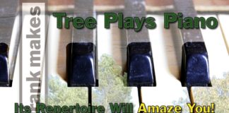 Tree Plays Piano. Its Repertoire Will Amaze You!